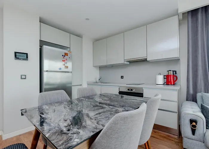 Apartment Lux 1 1 Saloon Istanbul