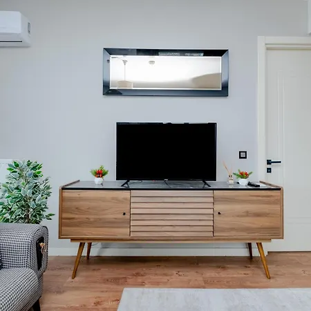 Apartment Lux 1 1 Saloon